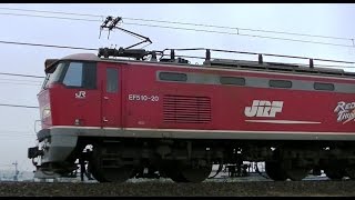 1時間20遅れで通過レッドサンダーEF510-20牽引高速貨物4059レ 大阪→新潟