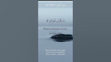 Surah An-Nahl | The Bee | سورة النحل