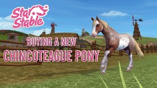 Buying a NEW CHINCOTEAGUE PONY! - Star Stable Online
