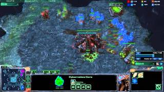 Starcraft 2 | Retard Magnet vol. 2.0