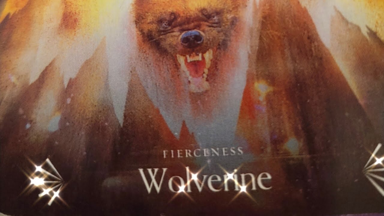 🌟❤️Co k Tobě vysílá SRDCEM a co HLAVOU❤️🌟