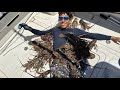 Recreational Lobstering | Freediving for Spiny Lobster in the Florida Keys | Catch Clean Cook