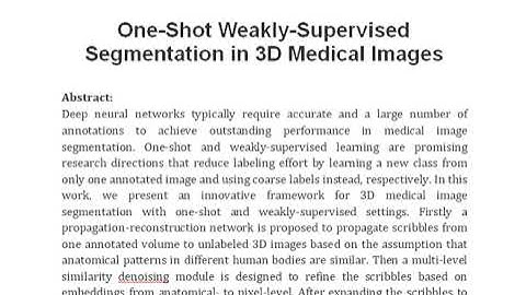 One Shot Weakly Supervised Segmentation in 3D Medical Images