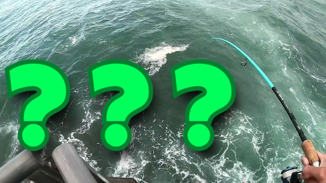 I hooked something BIG. Can you guess what it is?