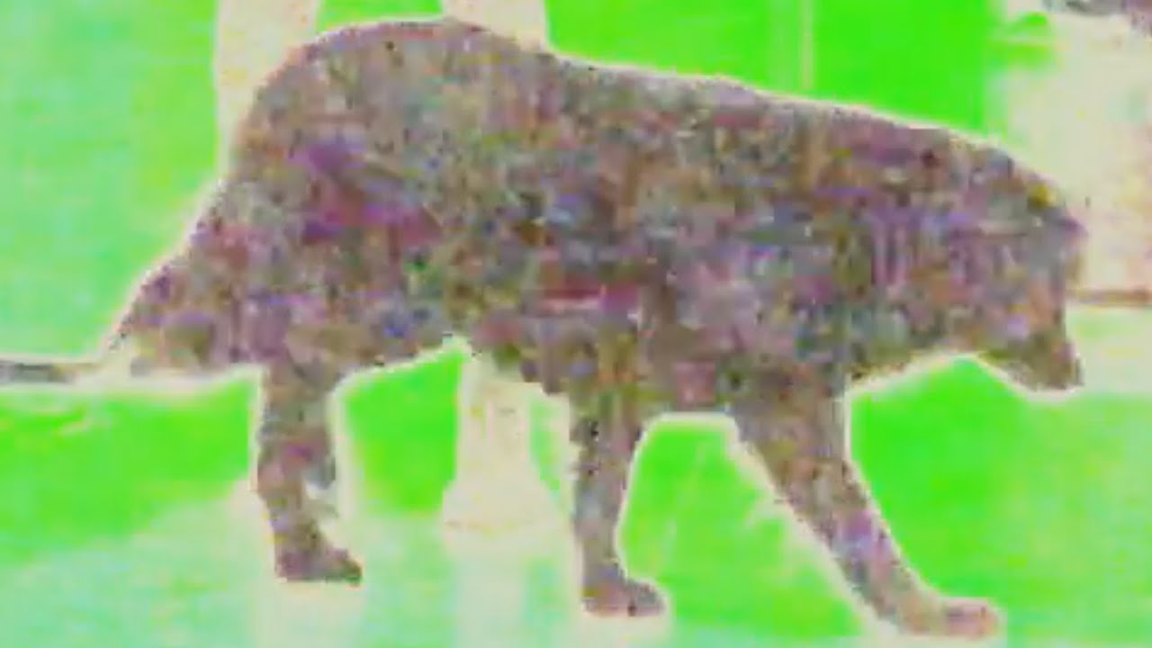 GE 1 (video)