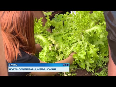 entretenimento para casamento Horta comunitária contribui com o desenvolvimento de jovens em situação de vulnerabilidade