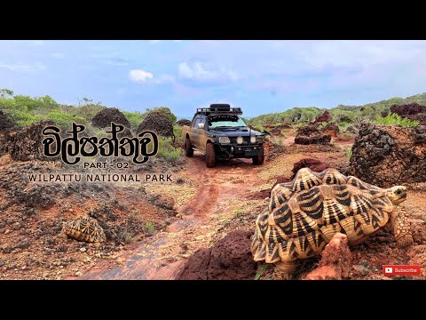 Wilpattu National Park - Part 02 | මහ වන මැද පිහිටි කුවේණියගේ මාලිගාව සහ තවත් තොරතුරු සොයා #wilpattu