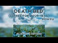 Death Bed Coffee For Your Head By Powfu Beabadoobee Slowed Reverb Wild Wings Death Bed Coffee For Your Head By Powfu Beabadoobee Slowed Reverb Wild Wings