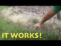 DIY Weed Killer That Is SAFE And EFFECTIVE DIY Weed Killer That Is SAFE And EFFECTIVE