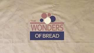 The Wonders of Bread  Short Crankie Puppet Film