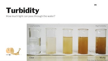 Turbidity: Water Quality Parameters #7