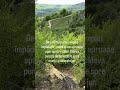 Satul Bertea, Varful Maciuca, traseu biciclete #travel #romania