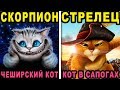 КАКОЙ ТЫ СКАЗОЧНЫЙ КОТИК ПО ЗНАКУ ЗОДИАКА. Какая ты Кошка по Знаку Зодиака