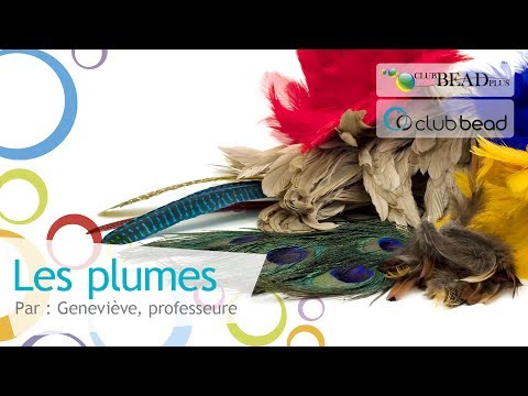 Vidéo: Comment Plier La Plume Au Club