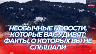 Необычные новости, которые вас удивят: факты, о которых вы не слышали