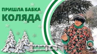 Бабка Колядка