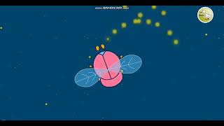 Space Adventures Bedtime Stories Ducktv