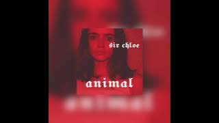 Sir Chloe - Animal (1 hour)