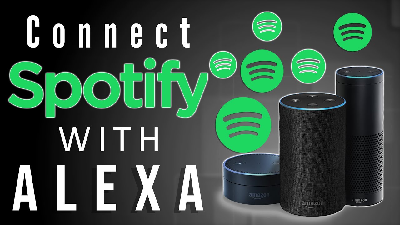 does the echo dot work with spotify