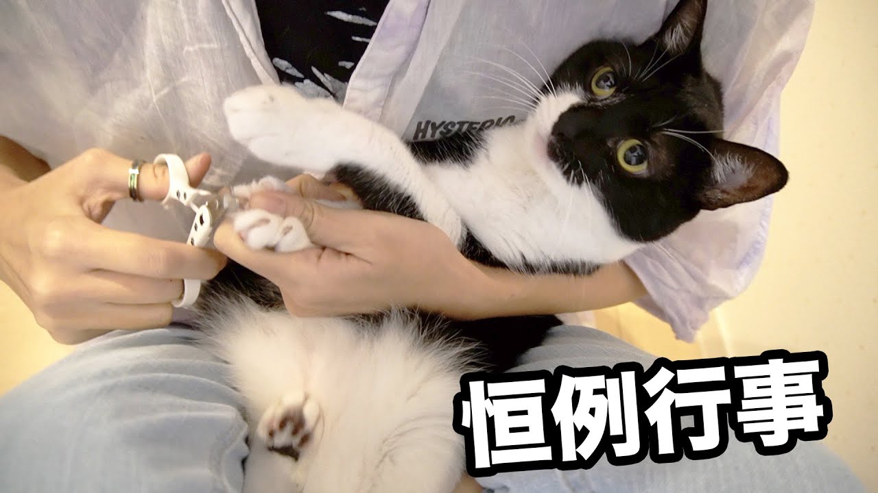 It's time to cut their nails♪ Who is the smartest among the six