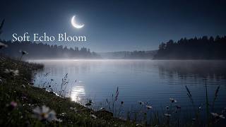 Soft Echo Bloom—Emotional Late Night Drift | Lo-fi Guitar for Sleep & Relax