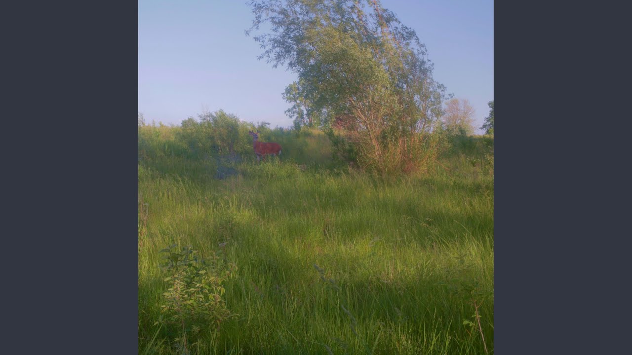 Guarda Calculated Dreamer su YouTube Guarda Calculated Dreamer su YouTube