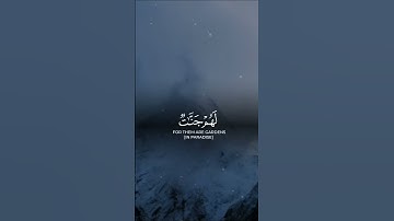 تلاوة خاشعة #قرآن #اكسبلور #trendingvideo #دويتو #tanding #راحة_نفسية #fypp #لايك #tik_tok #حالات