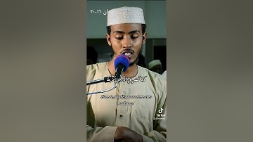 سورة لقمان ايات ١٦-٢٠ الشيخ عفيف محمد تاج