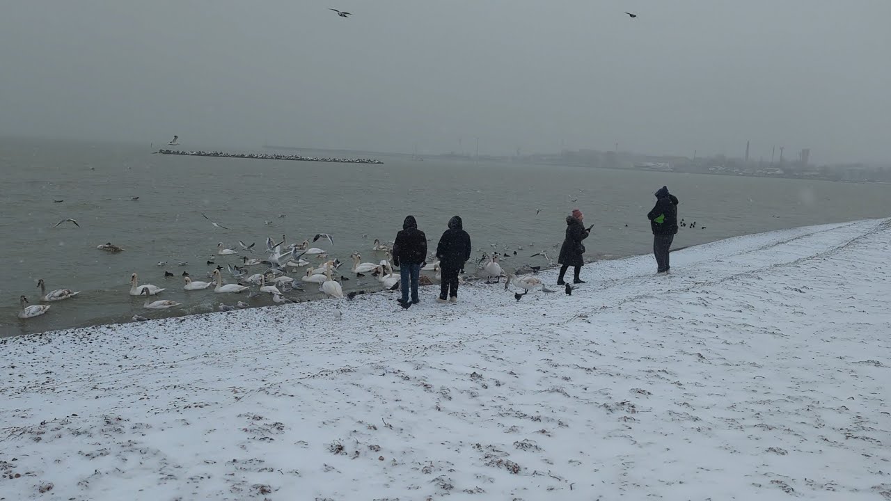 Евпатория 2026. Набережная Терешковой после шторма. Последствия неправильного проекта набережной!