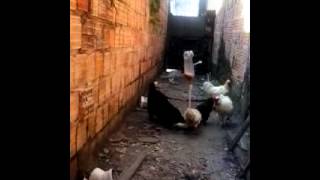 O Que Fazer Com Garrafa Pet