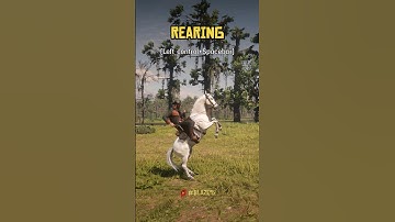RDR 2 Horse Tricks - PC Controls! 🎮