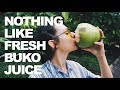 DRINKING FRESH FILIPINO BUKO (COCONUT) | PHILIPPINES VLOG 18