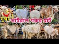 গরু মহিষের হাট গড়ের হাট || Dakshin Barasat Cow Market Video 2026 Tarafdar Vlog 