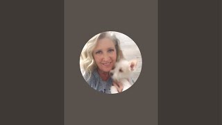 DreamyBohemian is live!