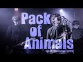 PACK OF ANIMALS Live at The George Tavern Mp3 Song