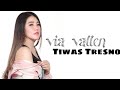 Download Via Vallen Tiwas Tresno mp3