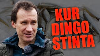 Pagavai  paleisk principas ir ešeriai bei kur dingo stinta ichtiologas Kęstutis Skrupskelis