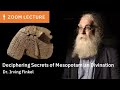 Deciphering the Secrets of Mesopotamian Divination | Dr. Irving Finkel