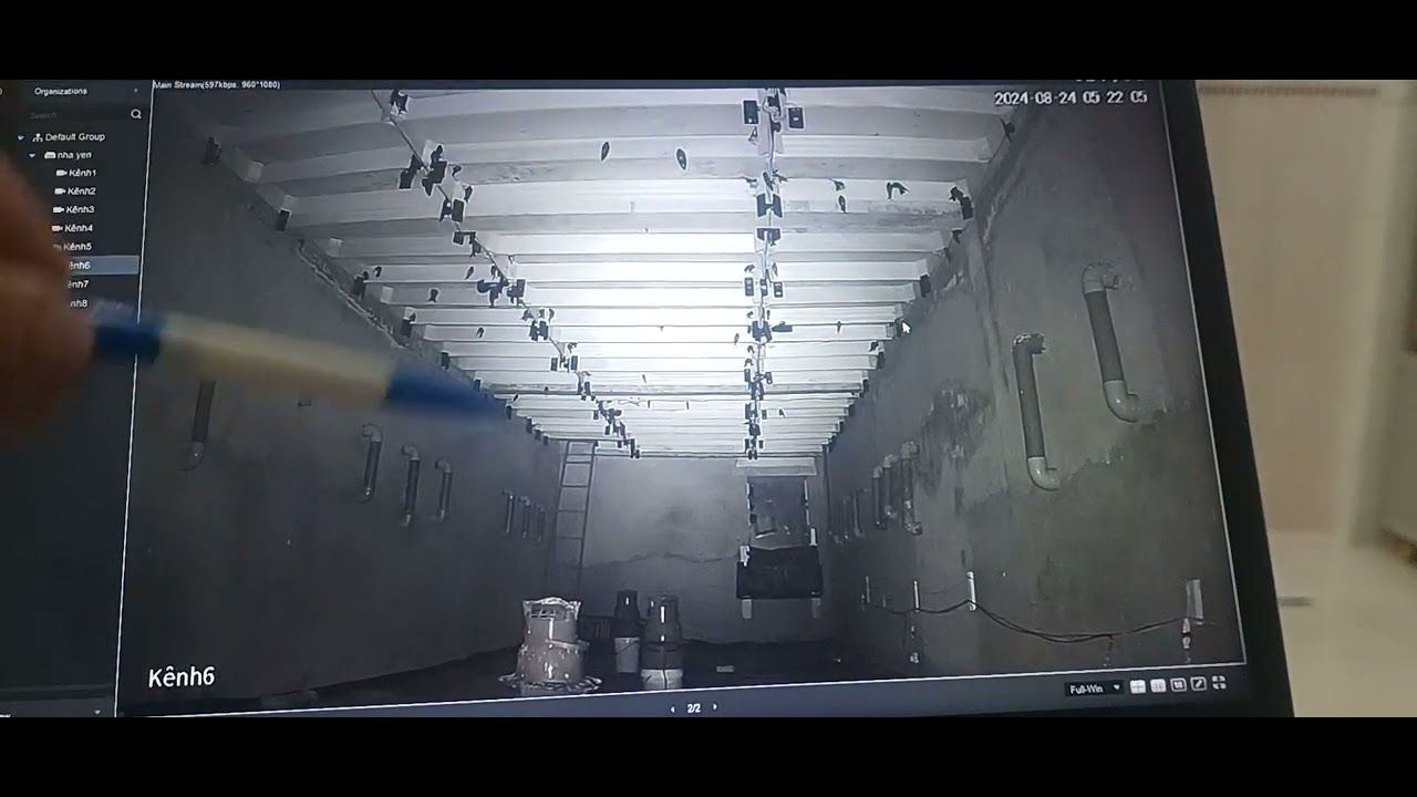 mời các xem nhà yến của mình làm .chia sẻ các bạn