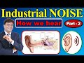 How we hear sound in Hindi | Journey of sound to the brain | How the Ear works | Structure of Ear
