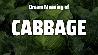 Cabbage Dream Meaning & Symbolism Information