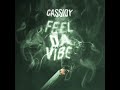 Cassidy Feel The Vibe mp3