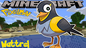 HOW TO FIND WATTREL IN PIXELMON REFORGED - MINECRAFT GUIDE - VERSION 9.1.13