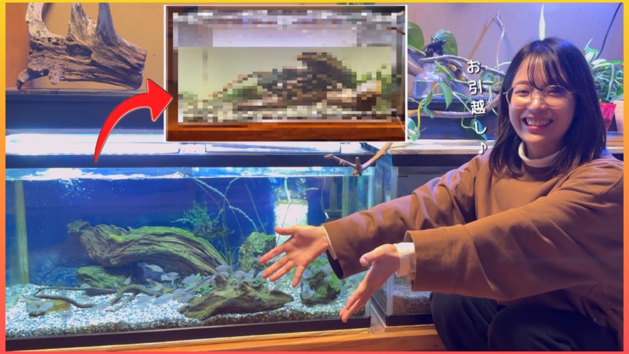 タナゴ用の90cmガラス水槽をアクリル水槽に変えて新規一新！【夫婦でアクアリウム】