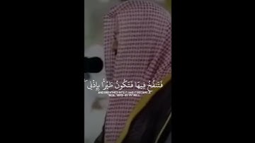 القرآن الكريم ( سورة المائدة ) الشيخ سعود الشريم تبارك الرحمن