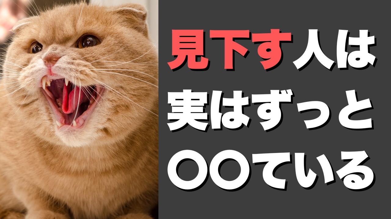 見下してくる人の心理と対処法｜実はずっと〇〇ている