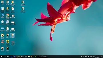 ASP NET themes Part 2