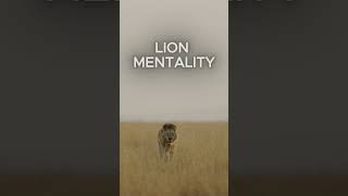 Lion Mentality #jalenbrunson #deporte #nba #newyorkknicks #lionmentality #mentalidadganadora