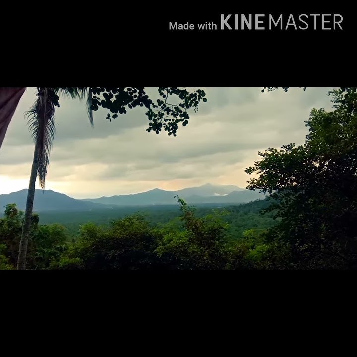 Status wa lagu JAV SONOSUITE || pas buat di pagi hari pemandangan di atas bukit