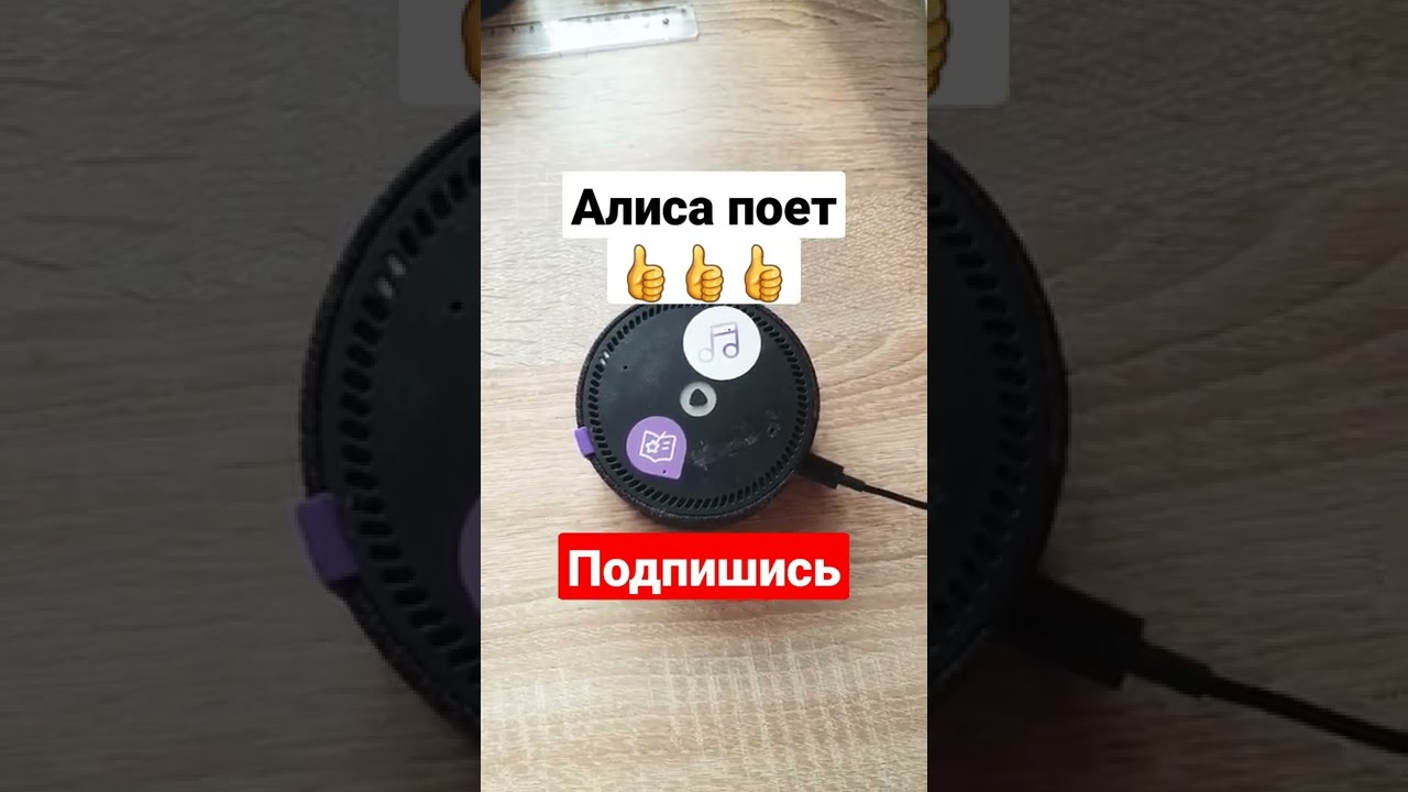 Пообедаем алиса